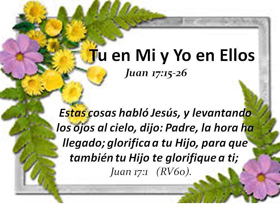 Tu en mi y yo en Ellos Jun-04-17