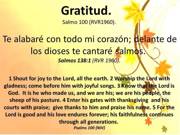 11 Gratitud 111917