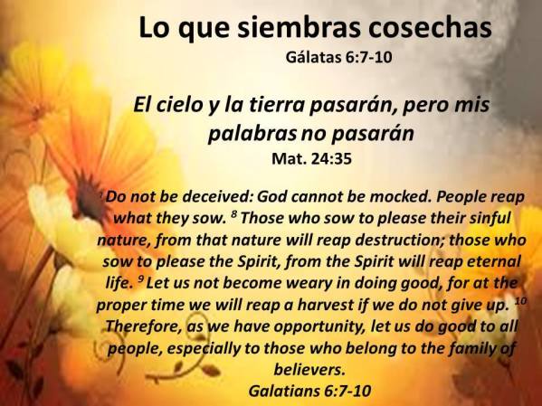 01 Lo que siembras cosechas 011418