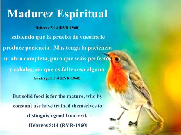 01 Madurez Espiritual 012818