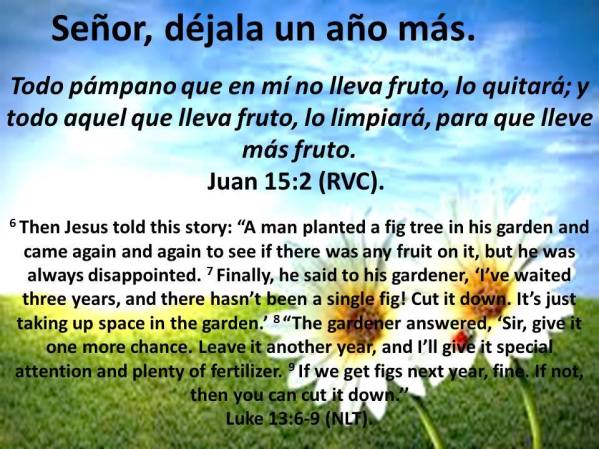 01 Señor, Déjala un Año más 010718