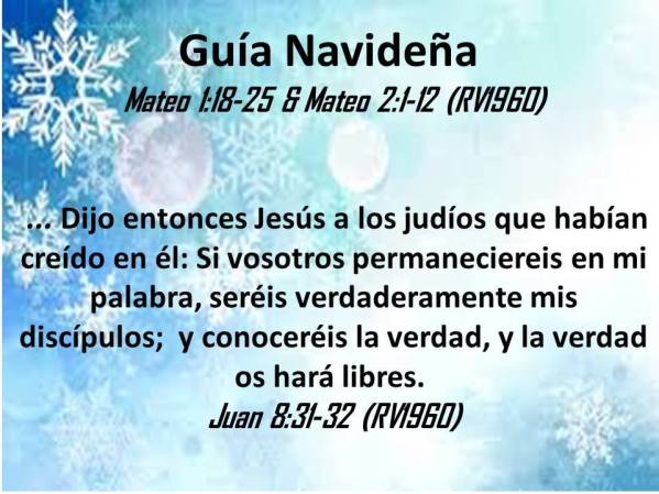 12 Guia Navideña 123017